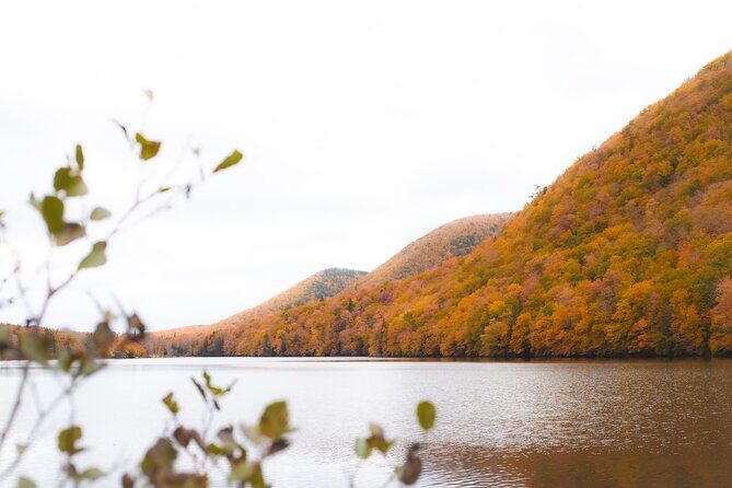 6 Hours Cabot Trail, Keltic Lodge and Ingonish Sights Tour - FAQs