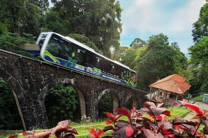 6 Hours Enchanting Exploration in Penang - Key Points