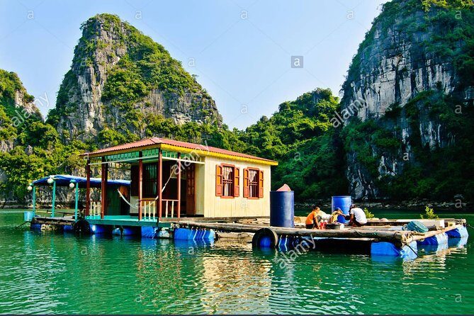6 Hours Halong Bay Cruise On Titop Island & Swimming -go By New Highway - Who Should Book This Tour?