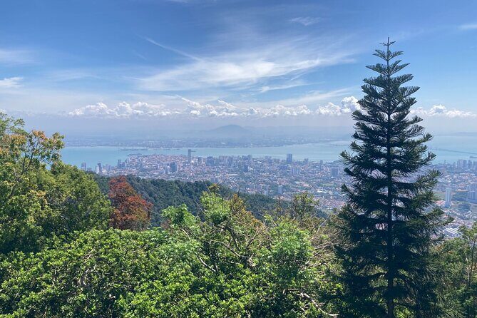 6-Hours Penang Private Tour - Authentic Experiences That Matter