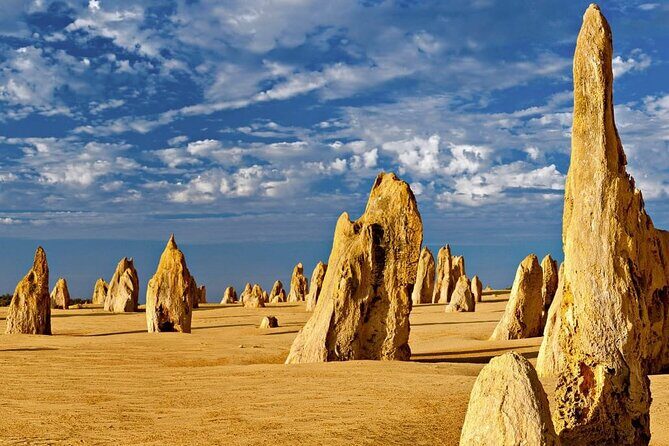 6 Hours Pinnacles Express Tour - Experience Overview: Discovering the Pinnacles Desert in a Half-Day