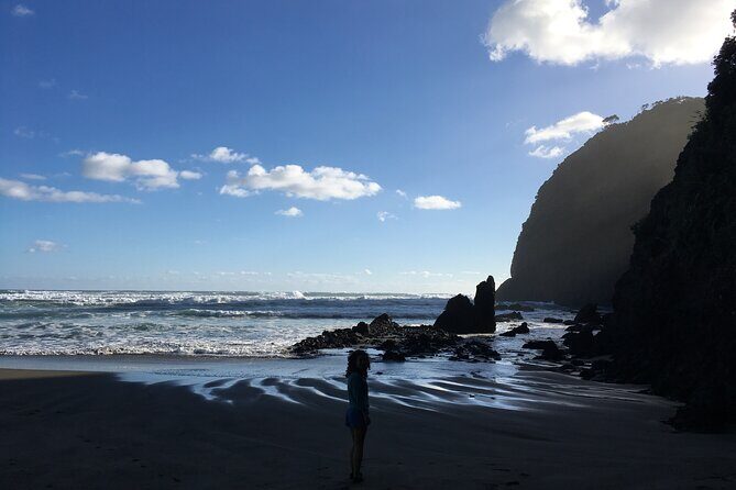 6 Hours Sightseeing Tour in Auckland - Price and Value Analysis