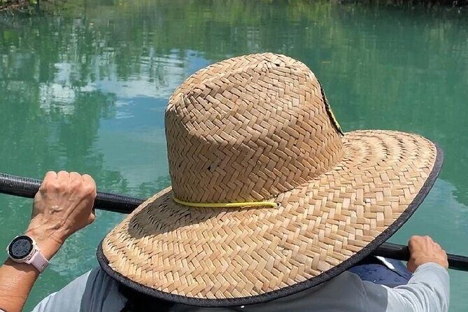 6-Hr Tropical Mangroves, Coastal River and Ocean Wildlife Watch - The Value of the Experience