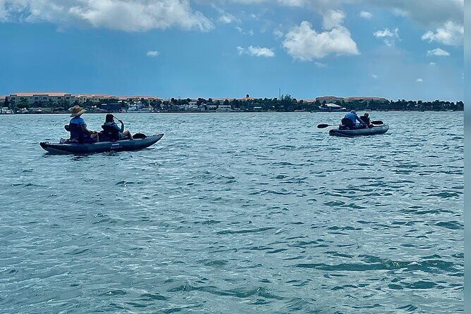 6-Hr Tropical Mangroves, Coastal River and Ocean Wildlife Watch - Itinerary Breakdown