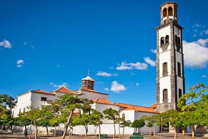 6 Hrs Private Tour In Tenerife - A Complete Guide to the 6-Hour Private Tour in Tenerife