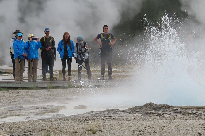 6-Mile Geyser Hiking Tour in Yellowstone with Lunch - Wildlife & Extra Sights