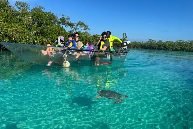6-Passenger Motorized Clear Kayak Mangrove Tour in Providenciales - An Authentic Look at the 6-Passenger Motorized Clear Kayak Mangrove Tour in Providenciales