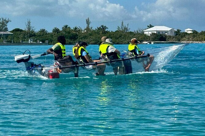 6-Passenger Motorized Clear Kayak Mangrove Tour in Providenciales - Key Points