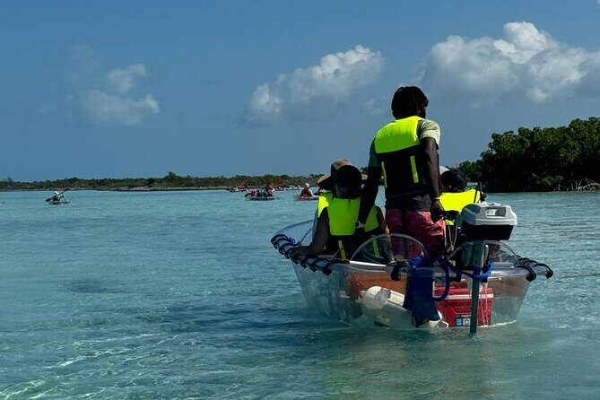 6-Passenger Motorized Clear Kayak Mangrove Tour in Providenciales - In The Sum Up