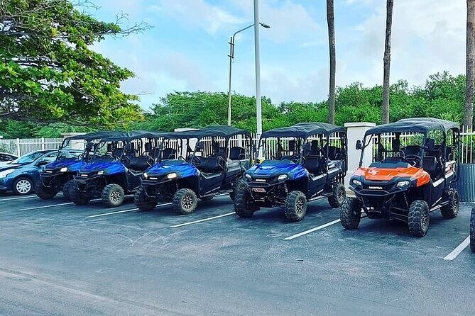 6 Seater Utv Rental Aruba - Key Points