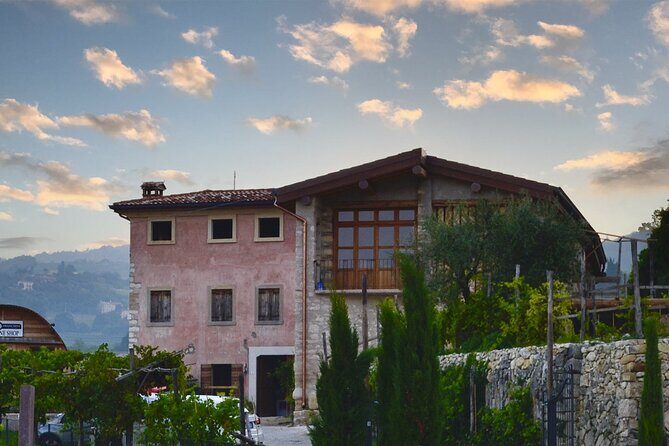 6 Wine Tasting in Valpolicella Classica: the cradle of Amarone - Who Is This Tour Perfect For?