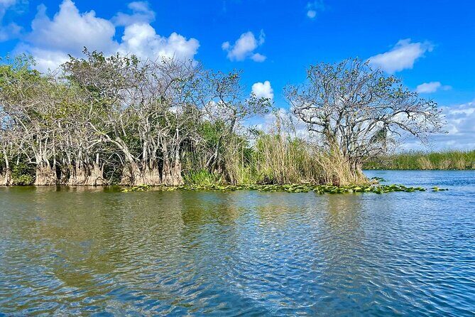 60 min. Everglades Airboat ride & pick-up ,small group +pro guide - The Sum Up