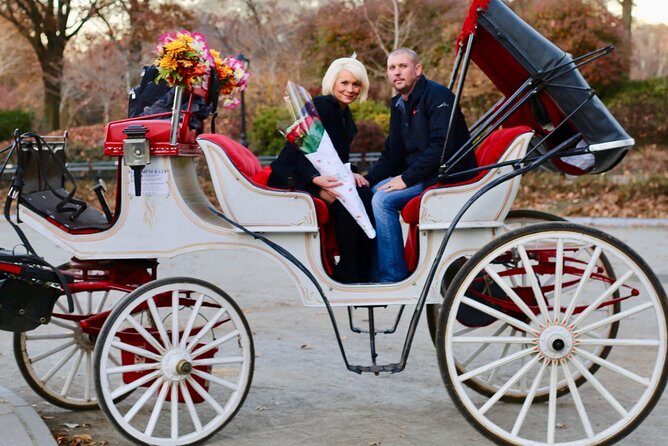 60 min surprise proposal carriage ride - A Romantic Ride Through Central Park with a Surprise Proposal