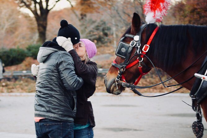 60 min surprise proposal carriage ride - What’s Included and Why It Matters