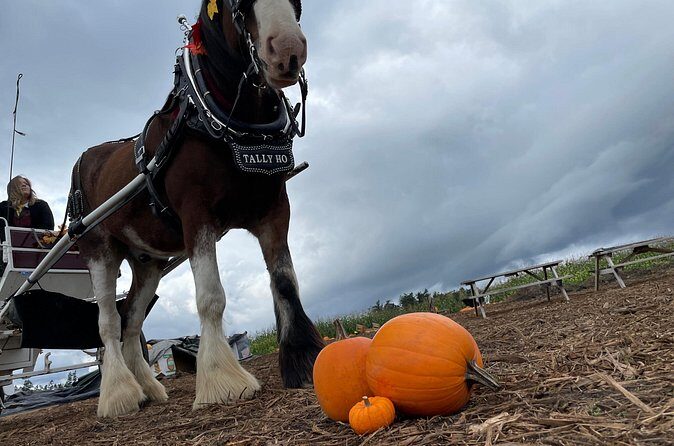 60-minute Haunted Halloween Tour - FAQ