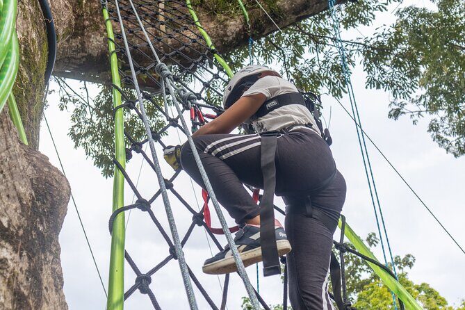 60m Tree Climbing Experience with Descent in Tarzan or Rapel - Final Thoughts