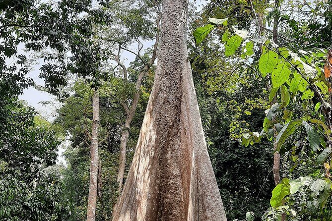 6D/5N Offbeat Walking Holiday in South and Middle Andamans - What Travelers Are Saying