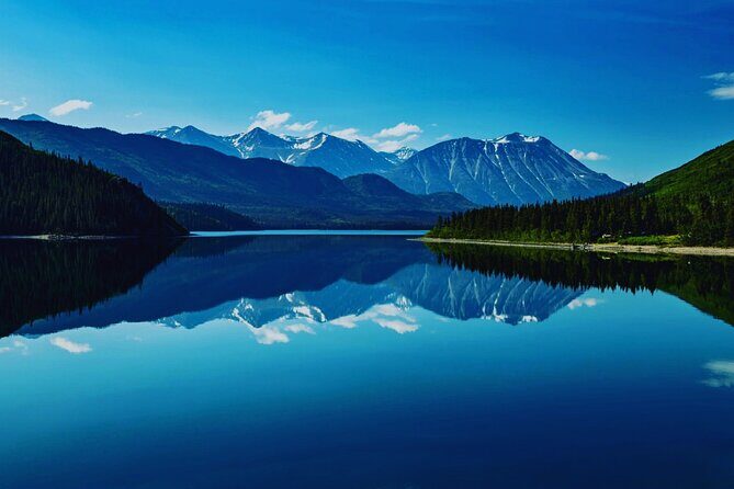 6hr Custom Private Tour of Ketchikan (4 People) Wildlife + More - Final Thoughts