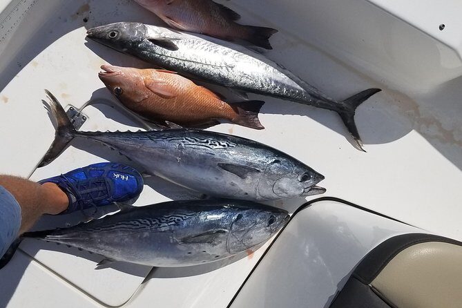 6HR Fishing Charter - Key Points