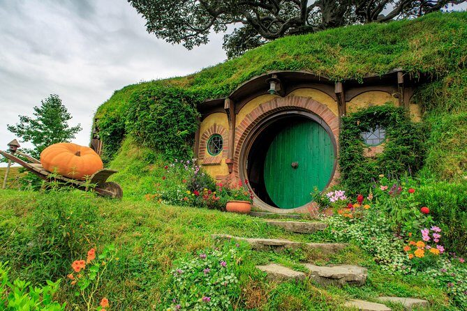 6hr Hobbiton Movie Set Tour - Departs Tauranga - A Deep Dive into the Hobbiton Movie Set Tour
