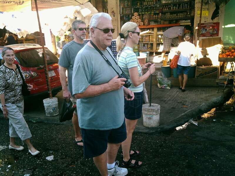 .6Hr Tour Diving Show Baby Turtle Release & All Attractions - FAQ