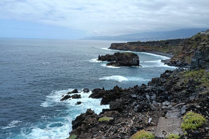 6hrs Private Tour in North Coast of Tenerife - Key Points