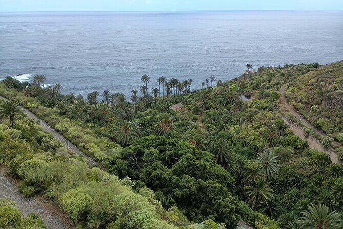 6hrs Private Tour in North Coast of Tenerife - FAQs