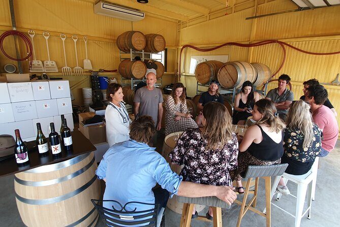 7- 8 Hour StelaVino Guided Wine Tours From Hobart, Tasmania - The Sum Up: Is This Tour Right for You?