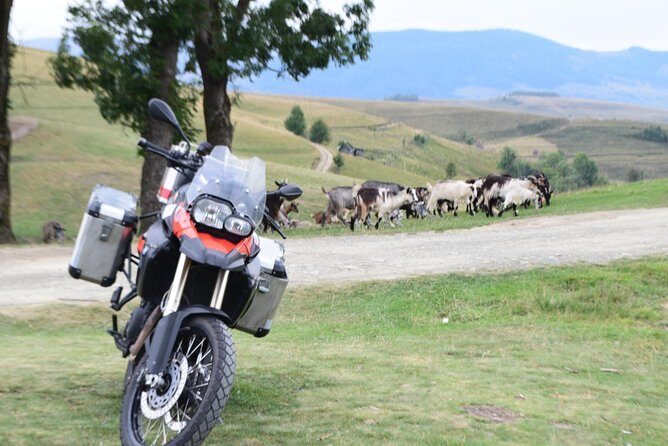 7 Day Best of Transylvania Motorcycle Tour from Cluj - Summary