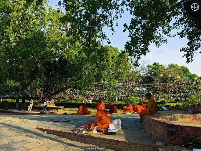 7-Day Buddhist Meditation Retreat in Lumbini - Final Thoughts: Is This Retreat Right for You?