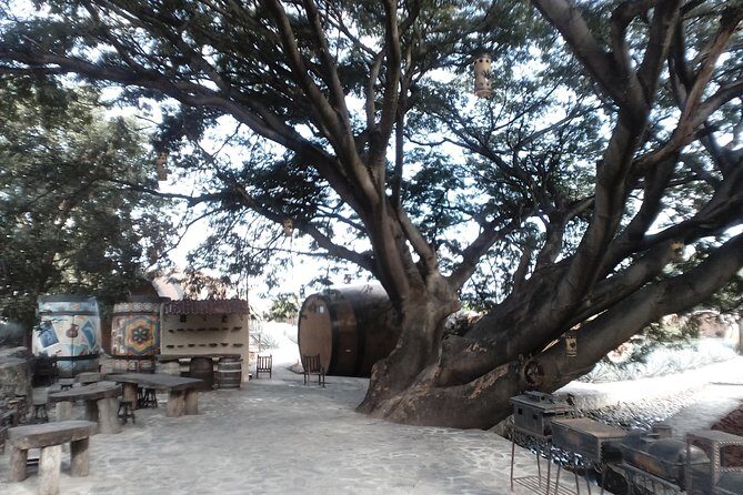 7 day circuit west: México, San Miguel, Guadalajara, Morelia - An In-Depth Look at the 7-Day Circuit West Tour