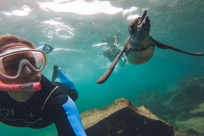 7-day Galapagos Island Hopping Adventure Expedition - Key Points