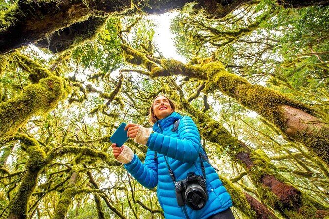 7 Day Guided Small Group Tour On Vancouver Islands West Coast - Frequently Asked Questions