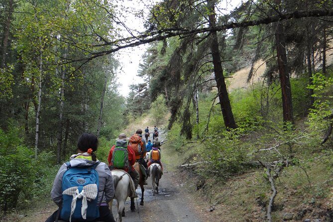 7-day hiking expedition to Tusheti through the Atsunta pass - Who Should Consider This Tour?