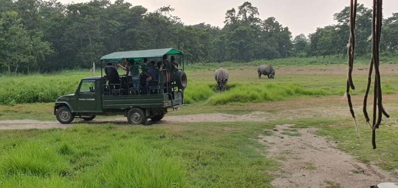 7 Day Himalayan Highlights: Culture, Mountain, Jungle Safari - What Makes This Tour Stand Out