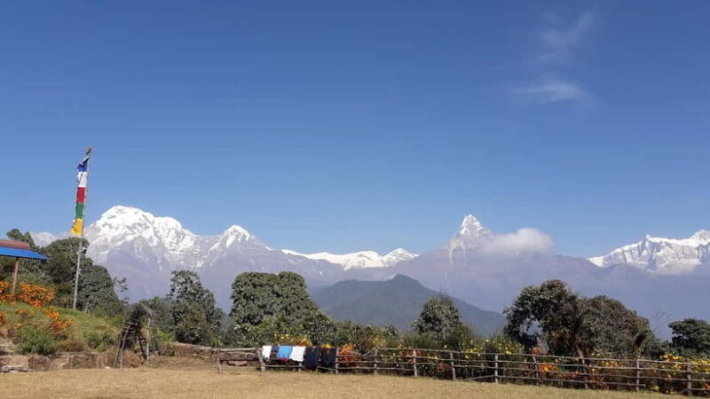 7 Day Himalayan Highlights: Culture, Mountain, Jungle Safari - FAQs