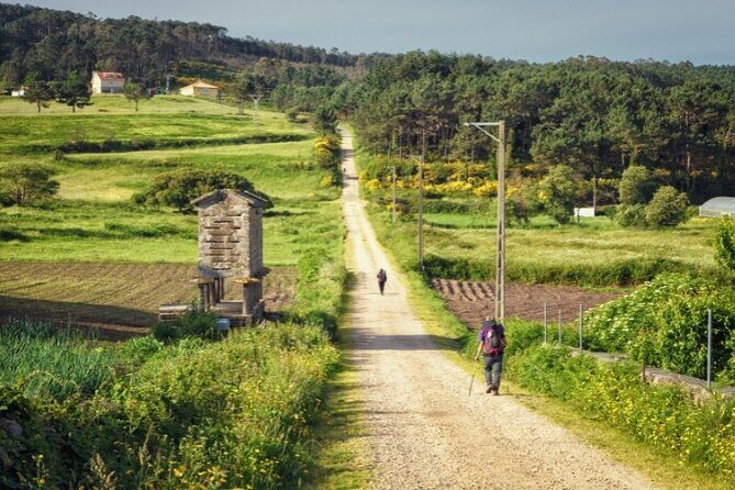 7-Day Portuguese Camino de Santiago Tour from Tui - Walking the Camino from Tui: An In-Depth Review