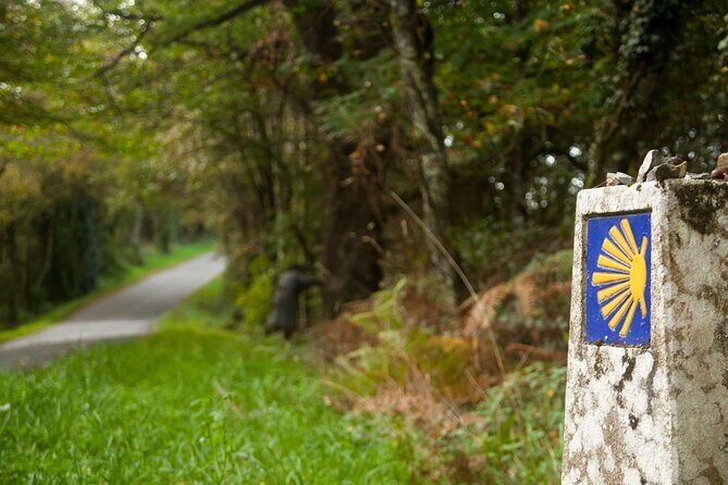 7-Day Portuguese Camino de Santiago Tour from Tui - Who Should Consider This Tour?