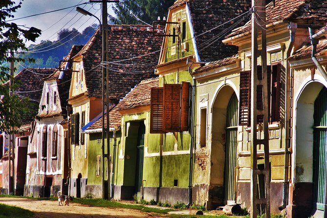7-Day Private Tour of Transylvania from Bucharest - FAQ: Your Questions About the 7-Day Transylvania Tour