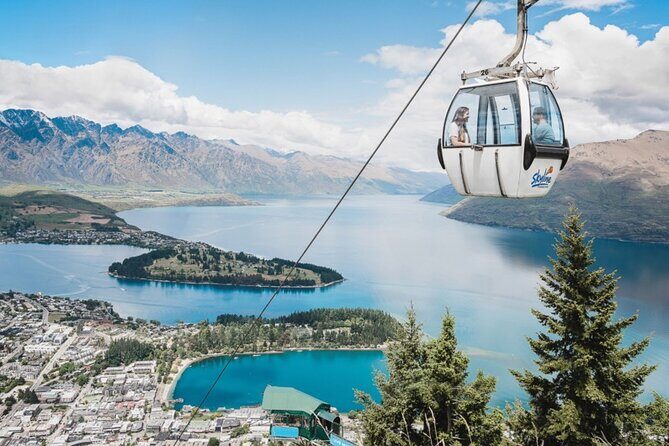 7-Day South Island Coastal Splendor Tour from Christchurch - Who Is This Tour Best For?