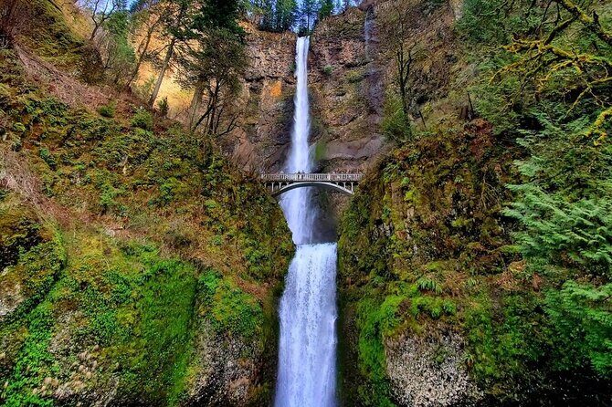 7-day Tour from Vancouver to Seattle&San Francisco by Train&Land - Coastal Giants and Crater Lake’s Deep Blue