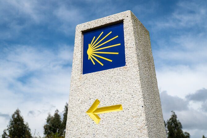 7-Day Tour of the French Way of Santiago from Sarria - Key Points