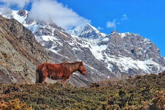 7 Day Trekking Tour from Kathmandu to Langtang Valley - The Sum Up