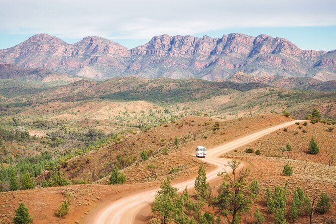 7 Day Uluru to Adelaide Cultural and Adventure Tour - Day Three: Kings Canyon and Watarrka National Park