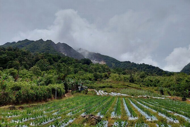 7 Days 6 Nights North Sumatra Tour (Bukit Lawang-Berastagi-Lake Toba) - Final Thoughts