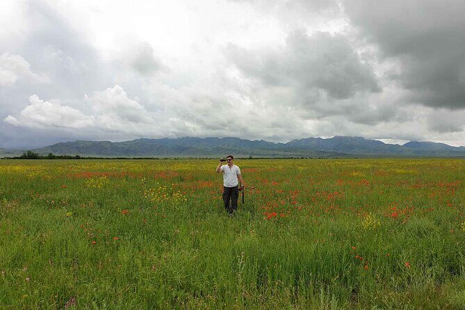 7 Days Almaty Tour Package - What Makes This Tour a Good Choice?