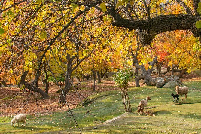 7-Days Autumn Tour to Hunza Valley - Key Points