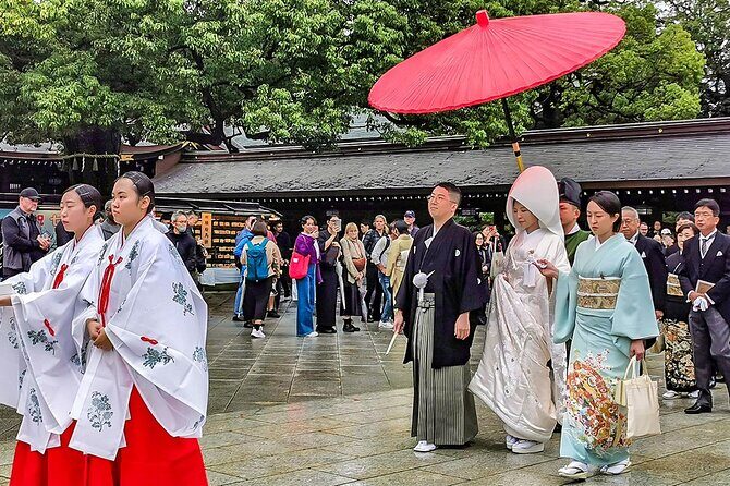 7 Days Best Japan Mini Group Tour with Toyko, Kyoto, Nara & Osaka - Who Will Love This Tour?