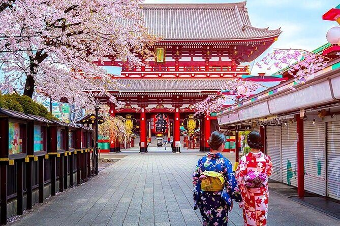 7 Days Customized Tokyo and Kansai Classic Family Tour - What Sets This Tour Apart