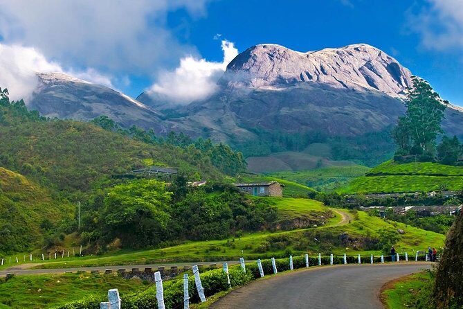 7-Days Kerala Luxury Tour from Cochin - Why This Tour Works